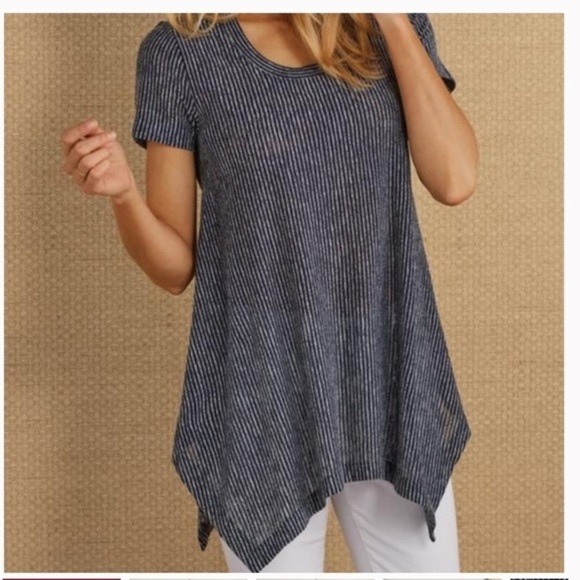 Soft surroundings Dione striped tee tunic navy and white XS - Picture 1 of 3